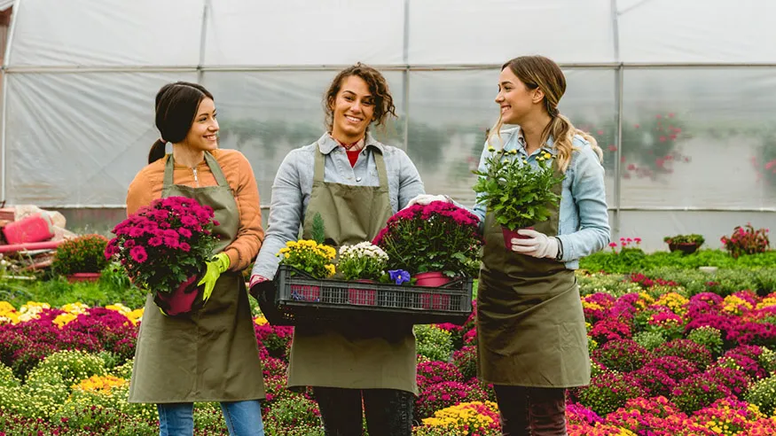 Jardiniers professionnels sélectionnant des plantes et fleurs pour l’entretien de jardins sur la Côte d’Azur.